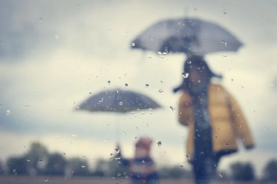 Umbrella