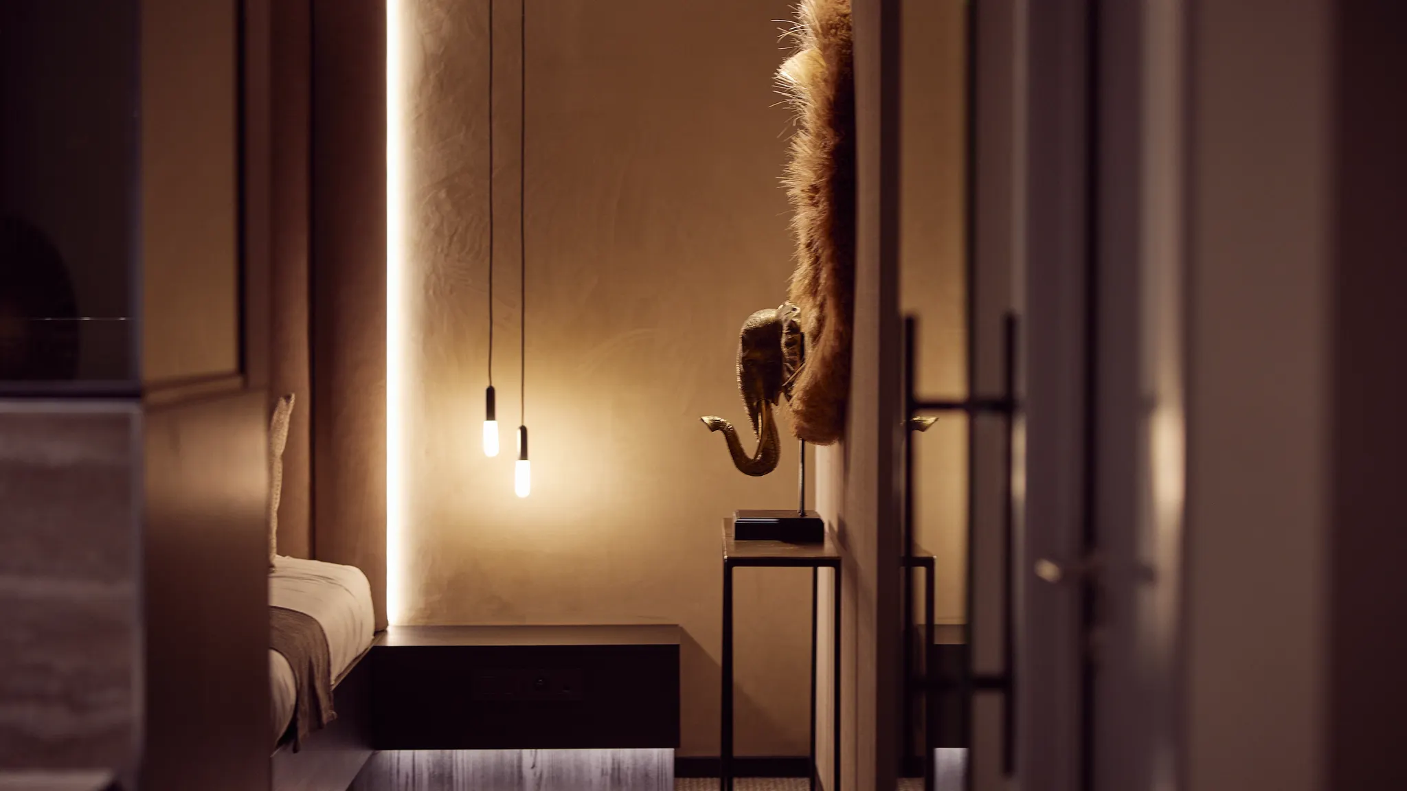 suite safari