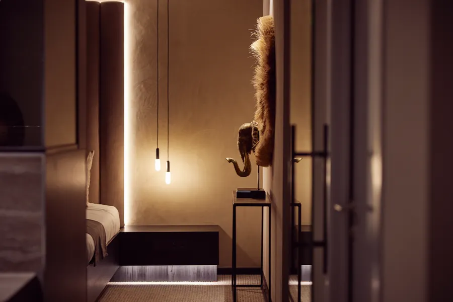 suite safari