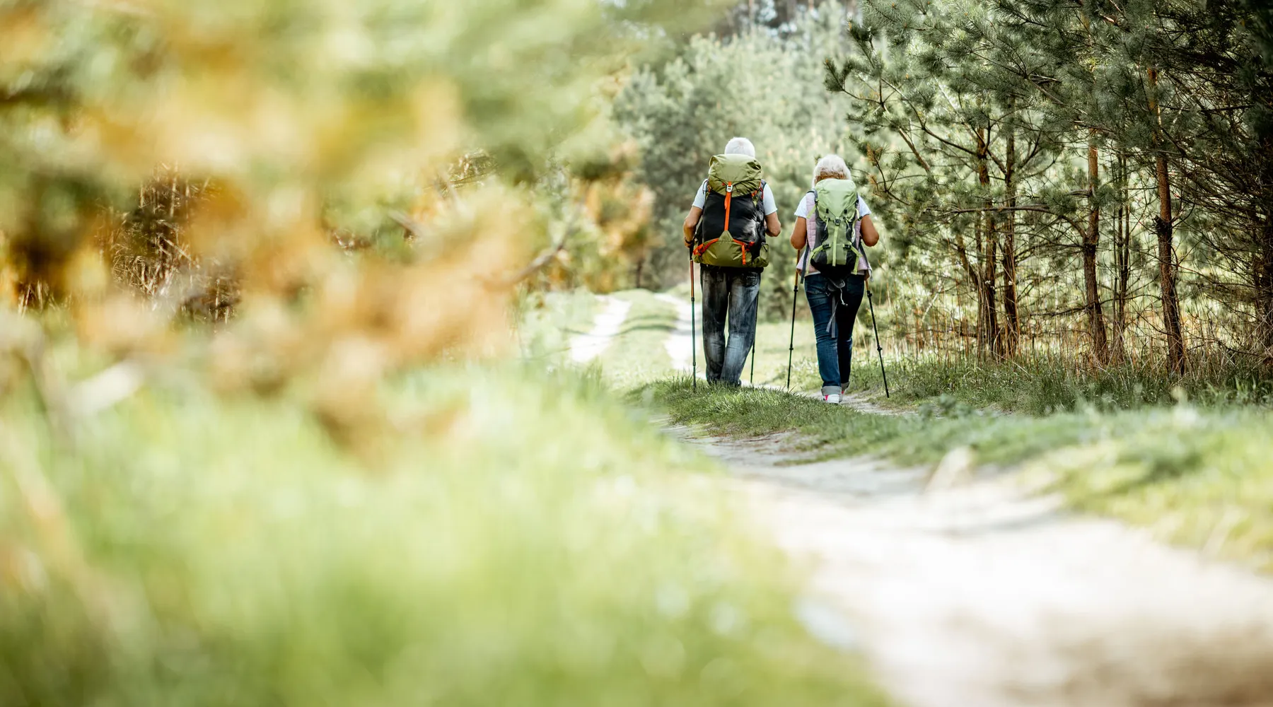 Wandelen