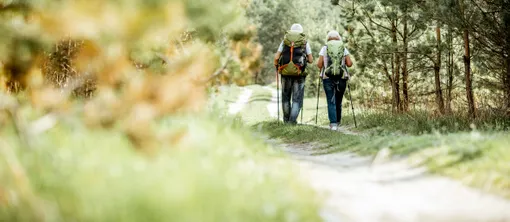 Wandelen