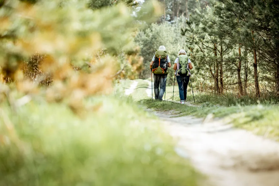 Wandelen