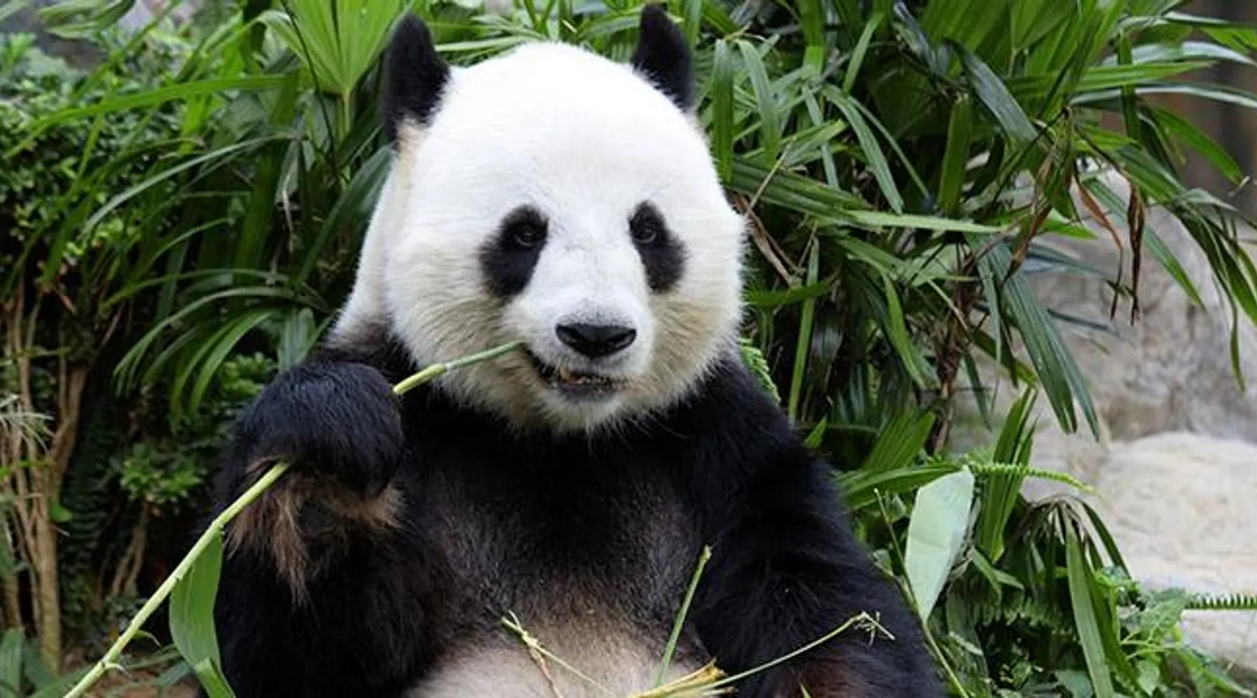 dierenpark