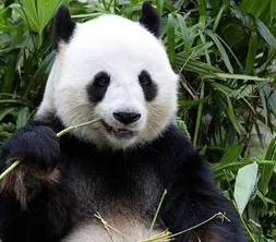 dierenpark