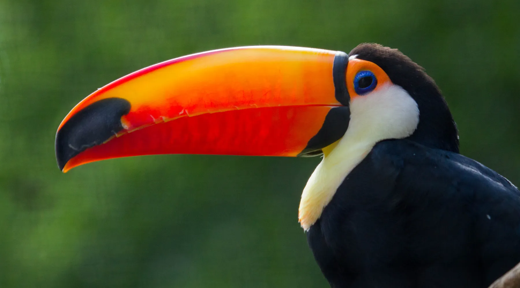 dierenpark