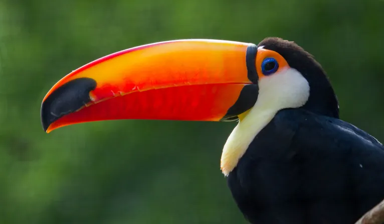 dierenpark