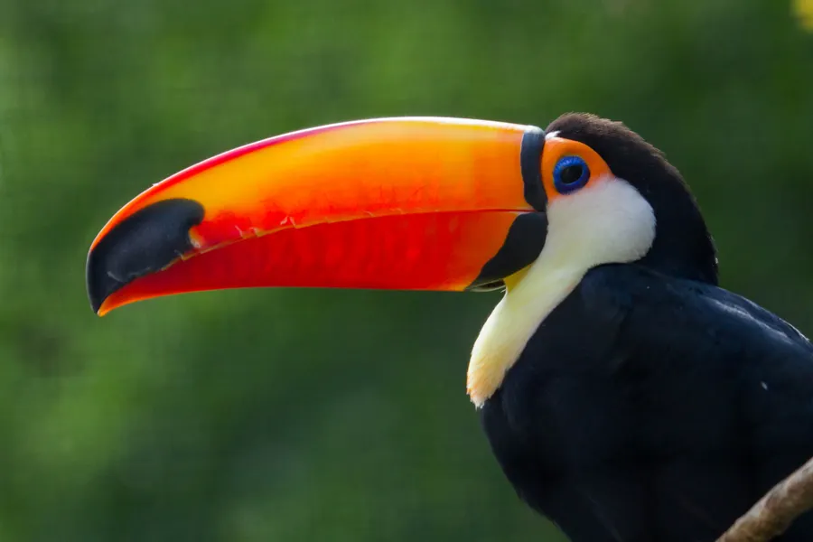 dierenpark