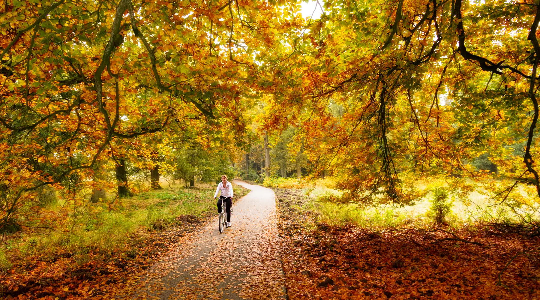 Fietser Veluwe