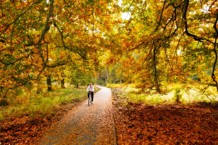 Bike Veluwe