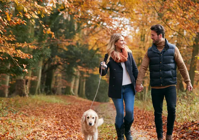 Hotel Nijmegen - Lent