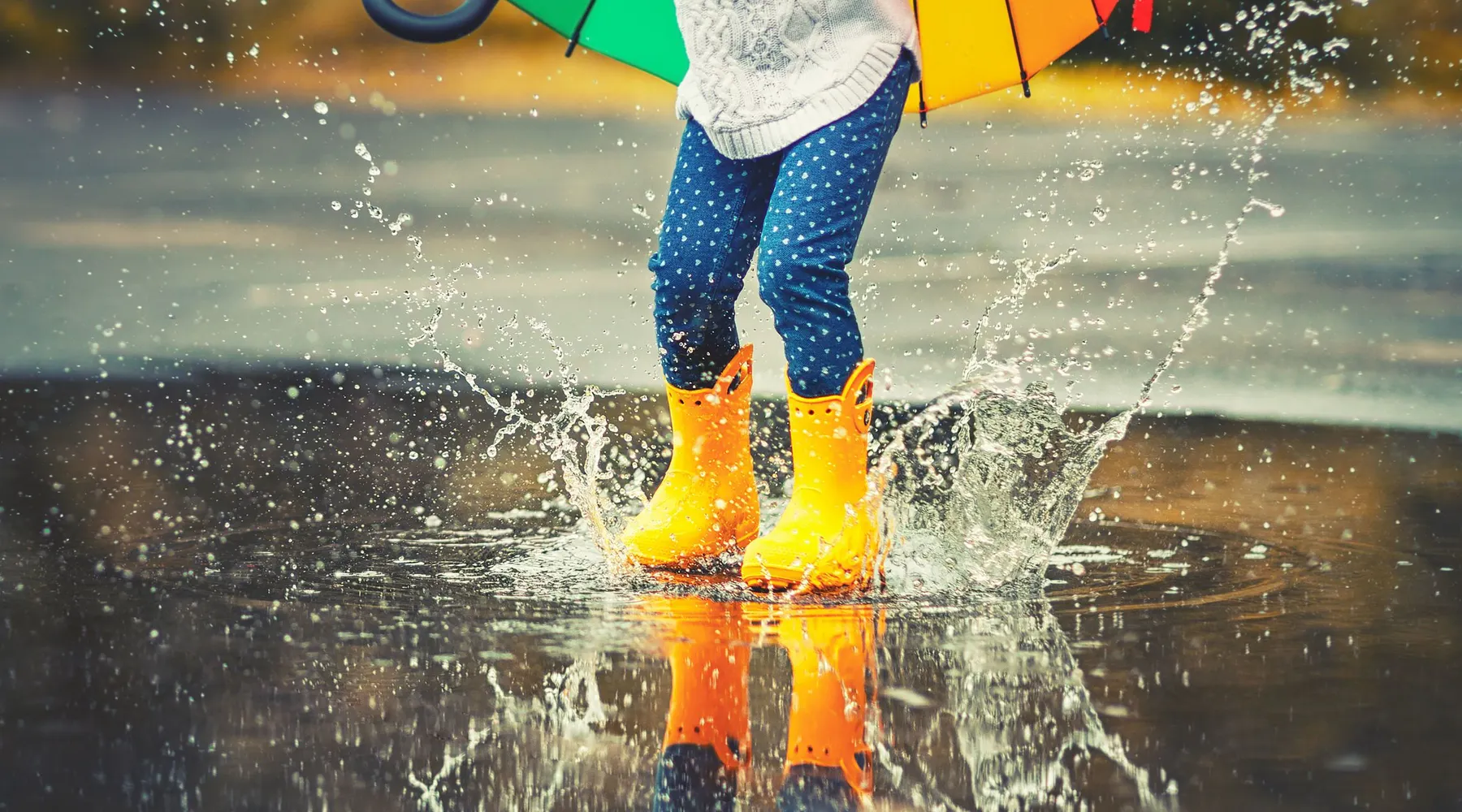 Rain