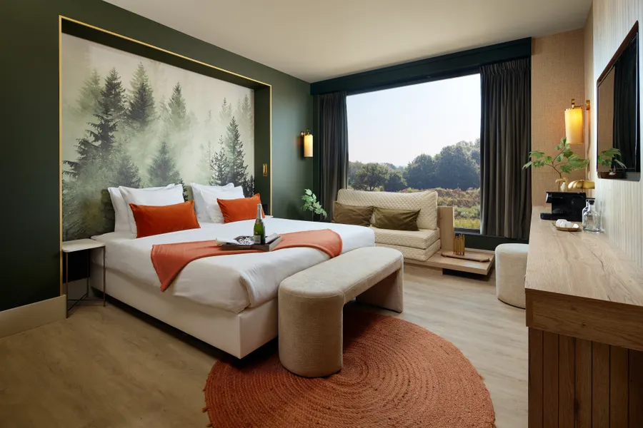 Deluxe room