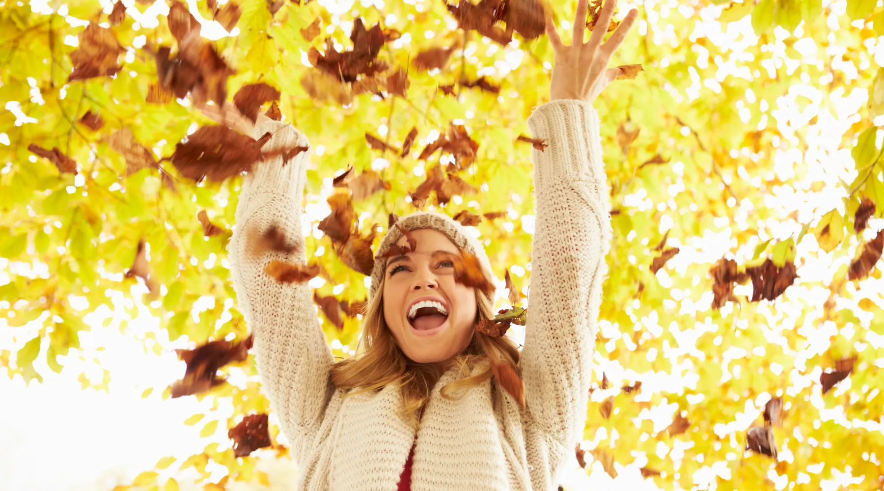 Herfst