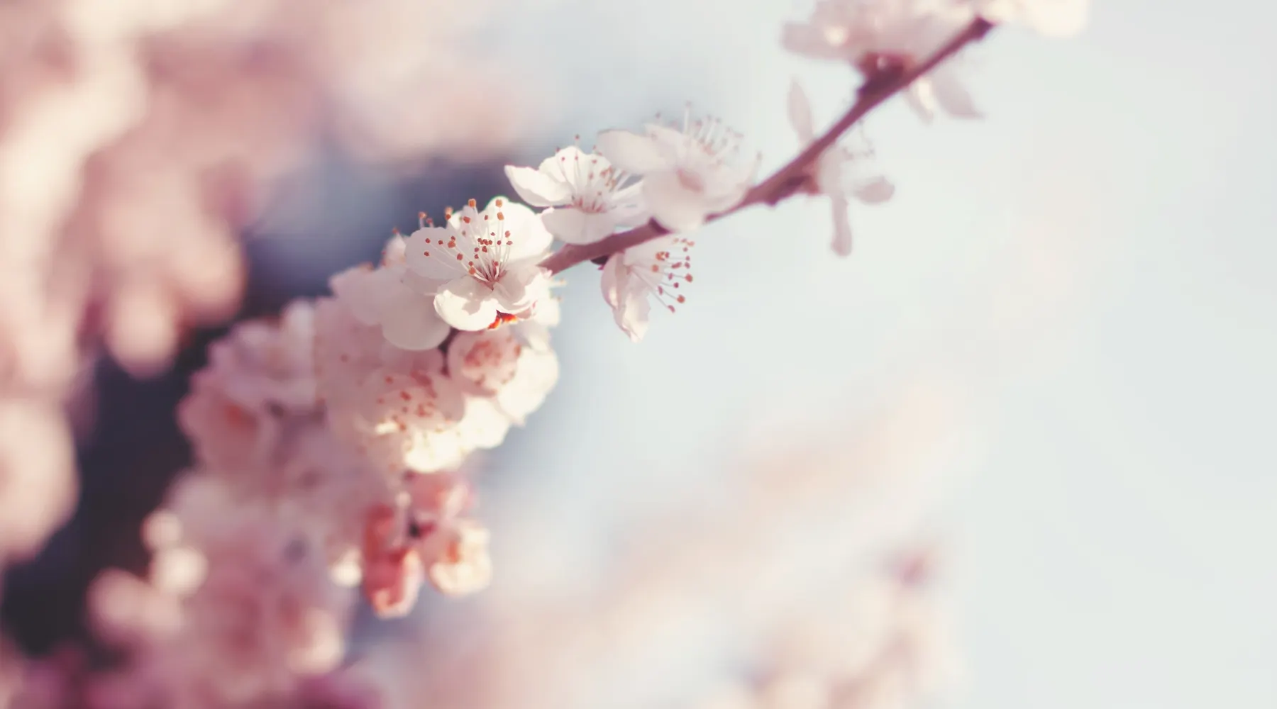Frühling