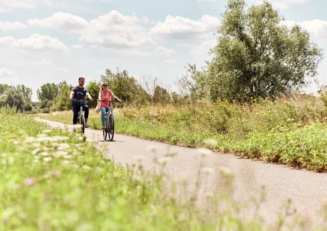 Happy Spring Package