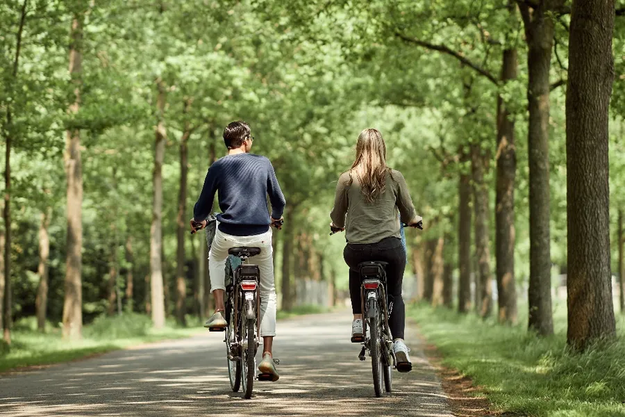 Fiets arrangement