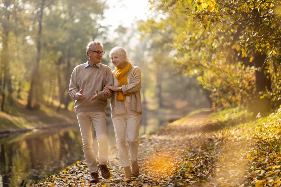 Seniors hiking in a forest