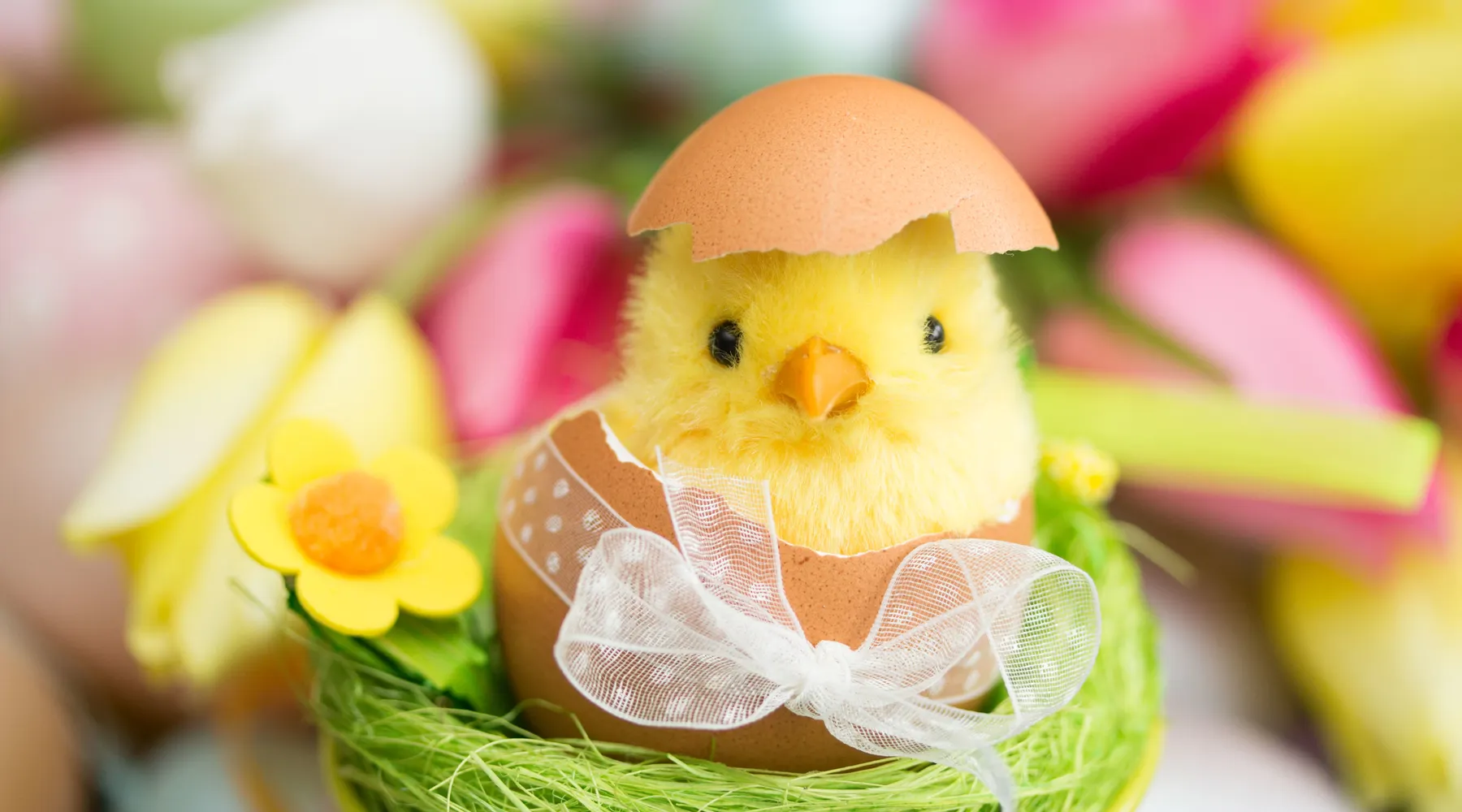 Easter