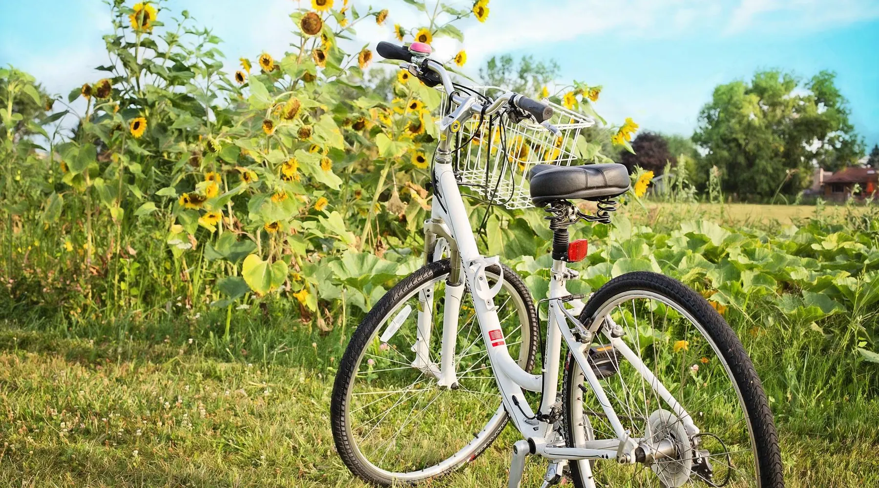 Fiets