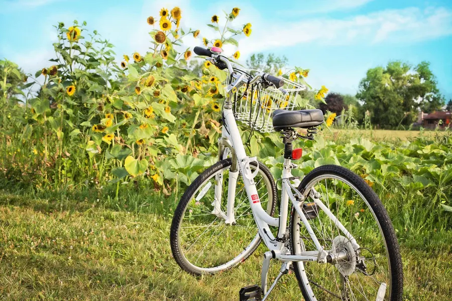Fiets