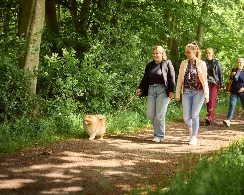Wandern