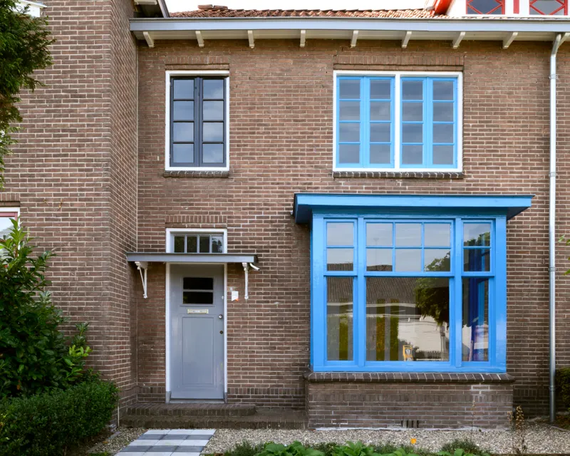 Papegaaien buurt