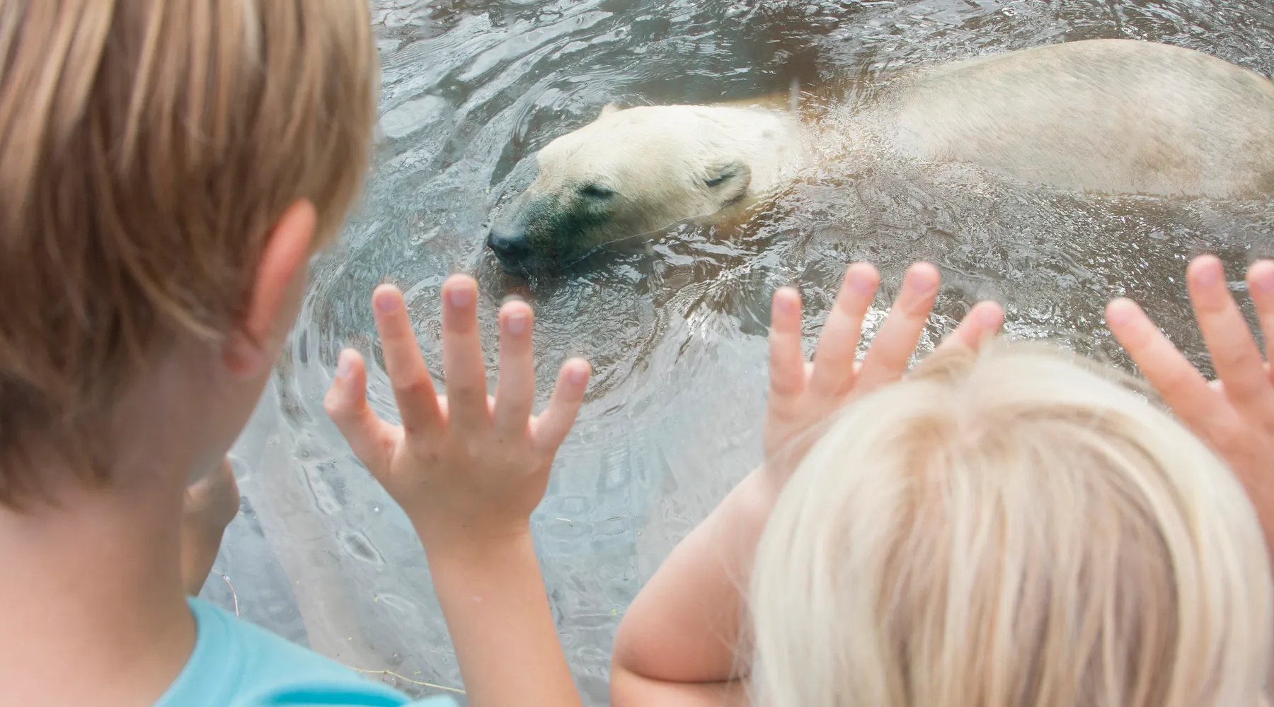 AquaZoo Friesland Van der Valk Hardegarijp