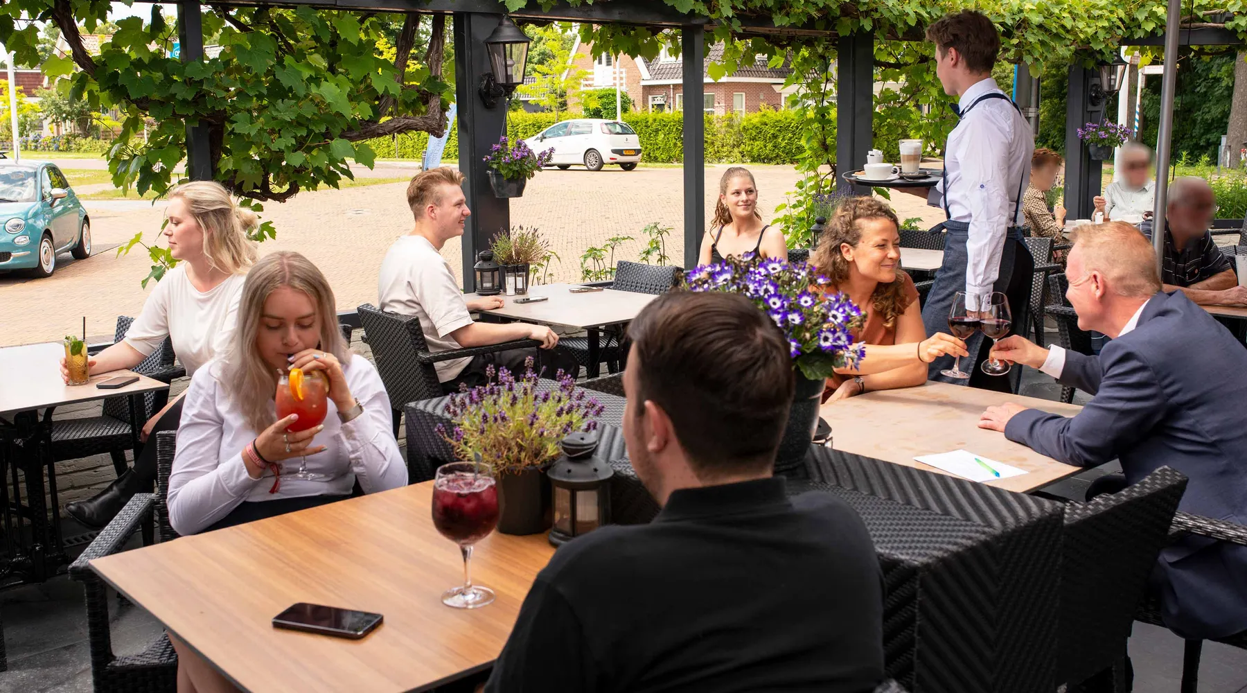 Hoog zomer Hardegarijp