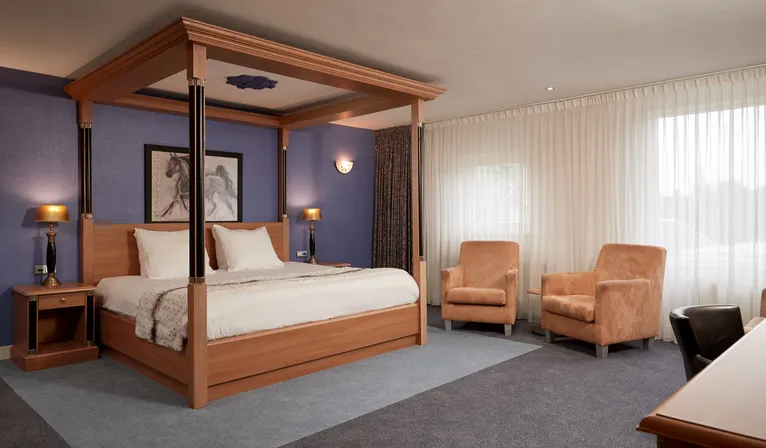 Comfort room Hotel Hardegarijp-Leeuwarden