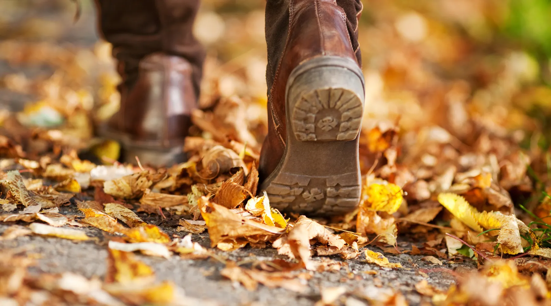 herfst