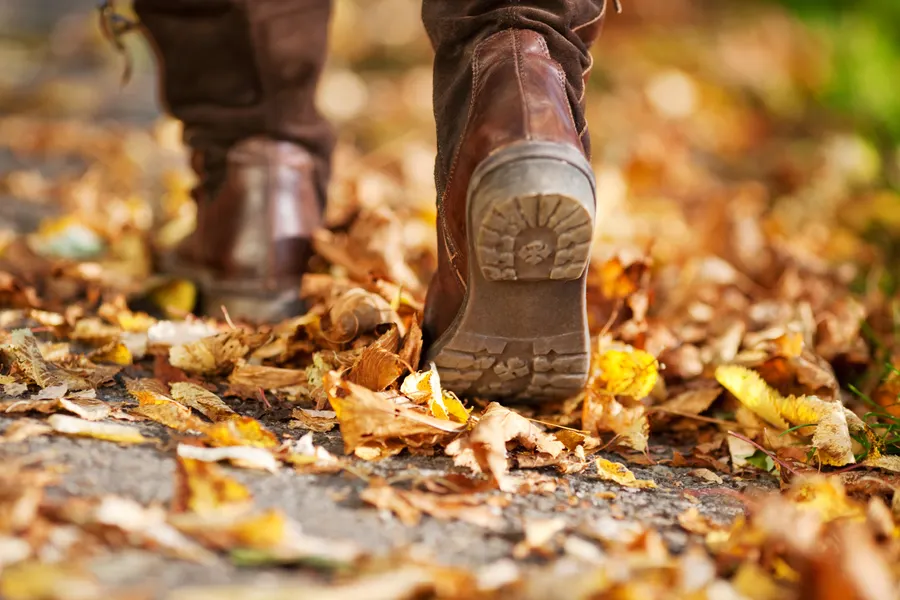 herfst