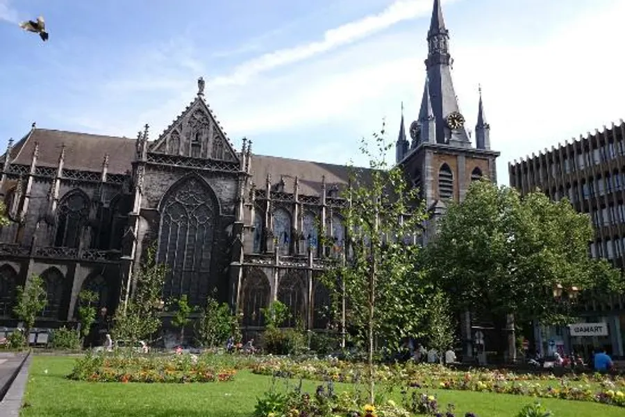 cathédrale