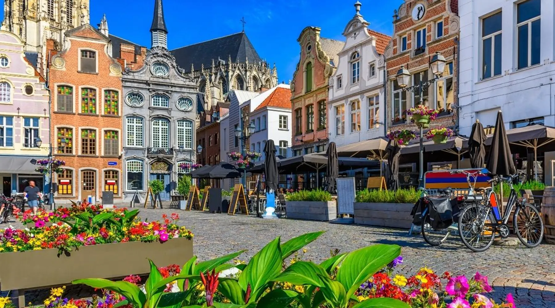 Hoog Zomer
