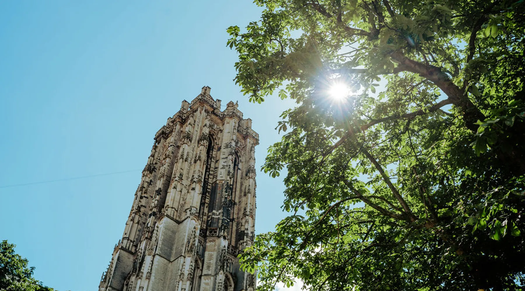 Hoog Zomer