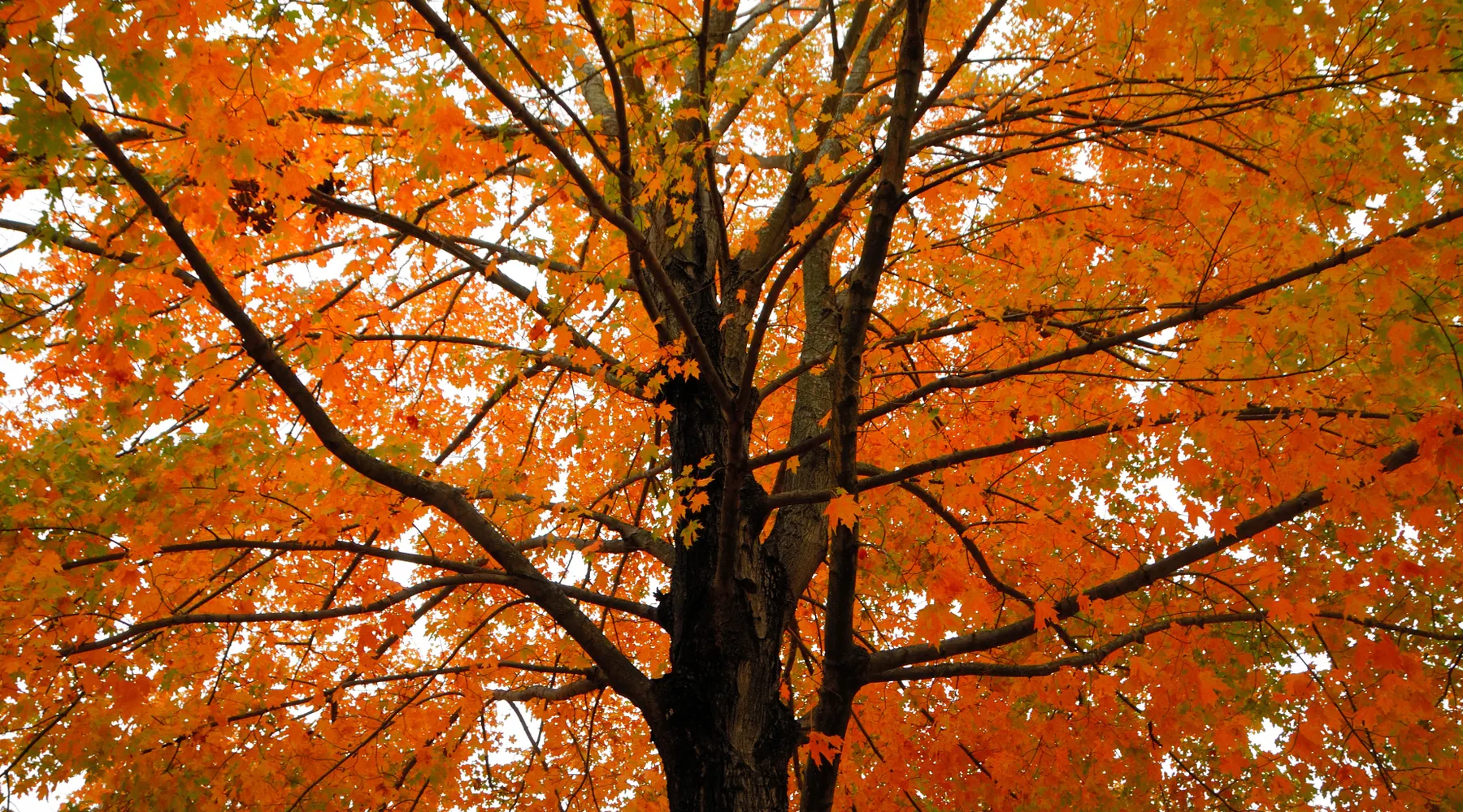 Heerlijke Herfst