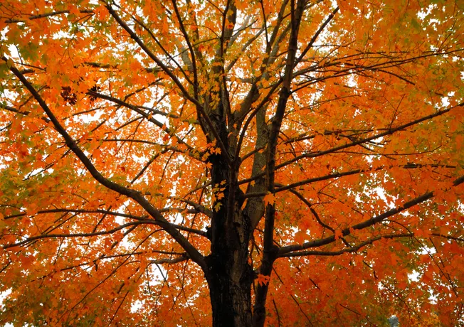 Heerlijke Herfst