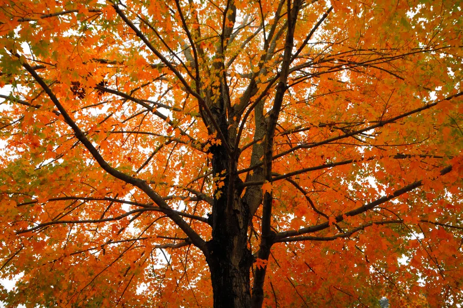 Heerlijke Herfst