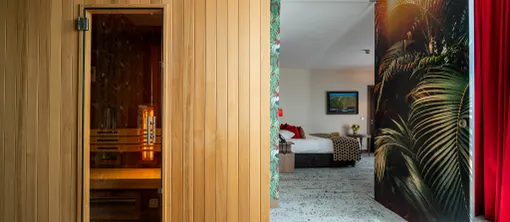 sauna suite wellness
