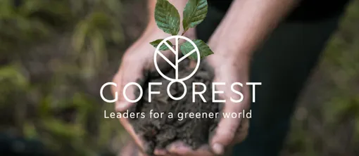 Go Forest