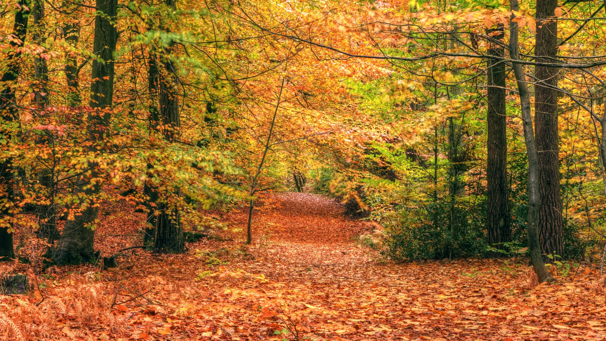 Schöner Herbst