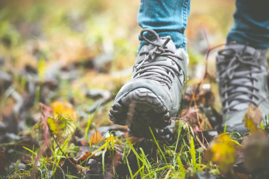 Wandelen