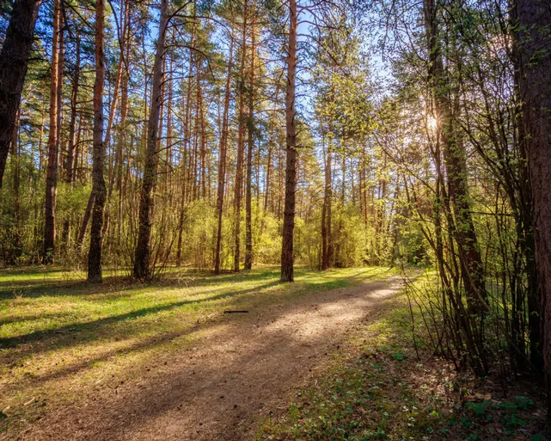 Wandelroute