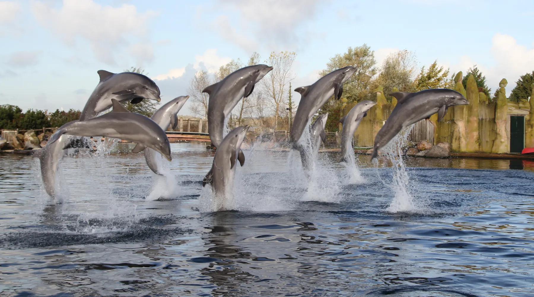 dolfinarium