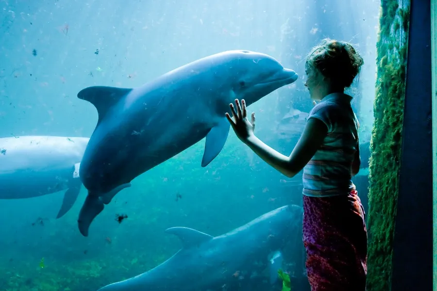 dolfinarium
