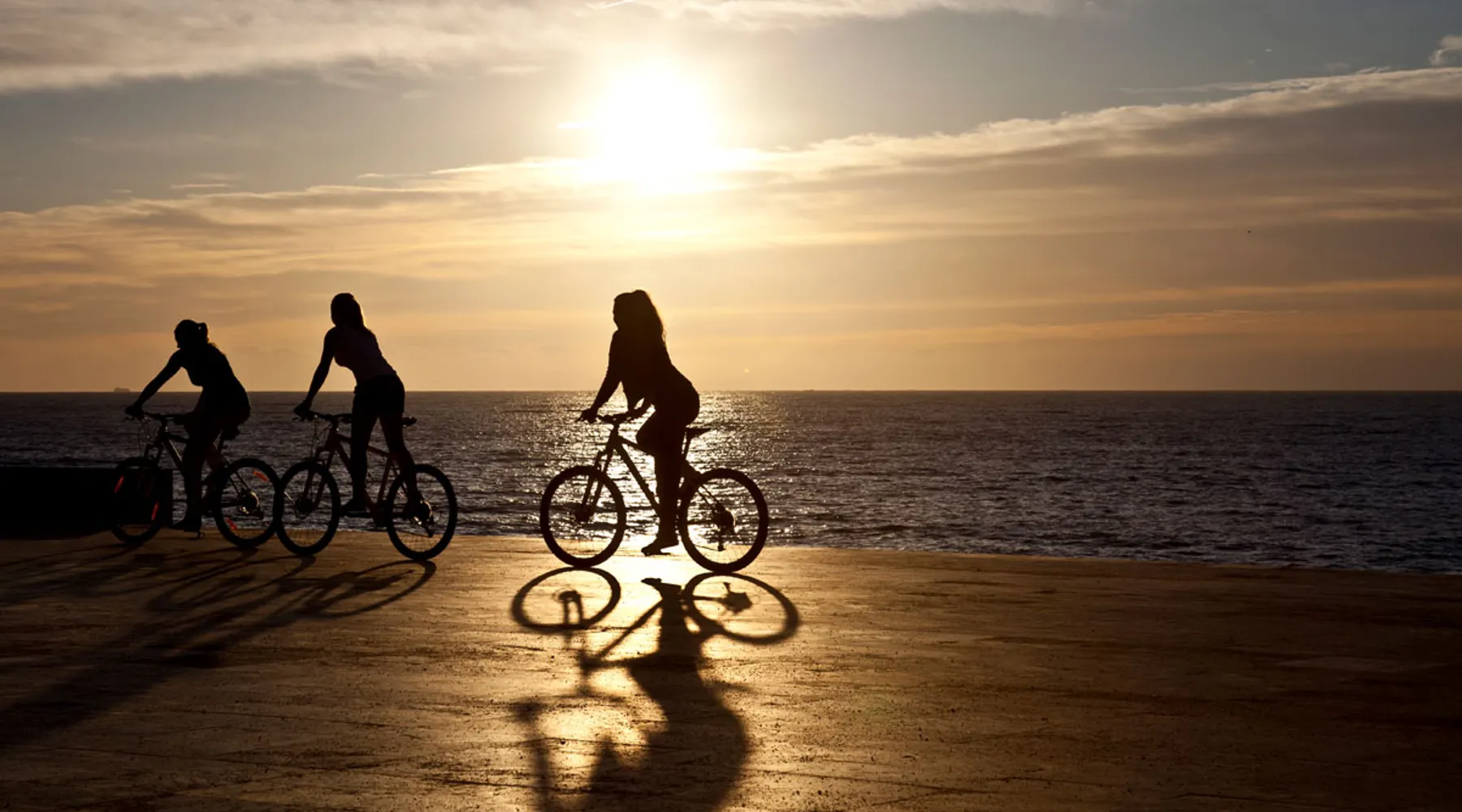 Fiets