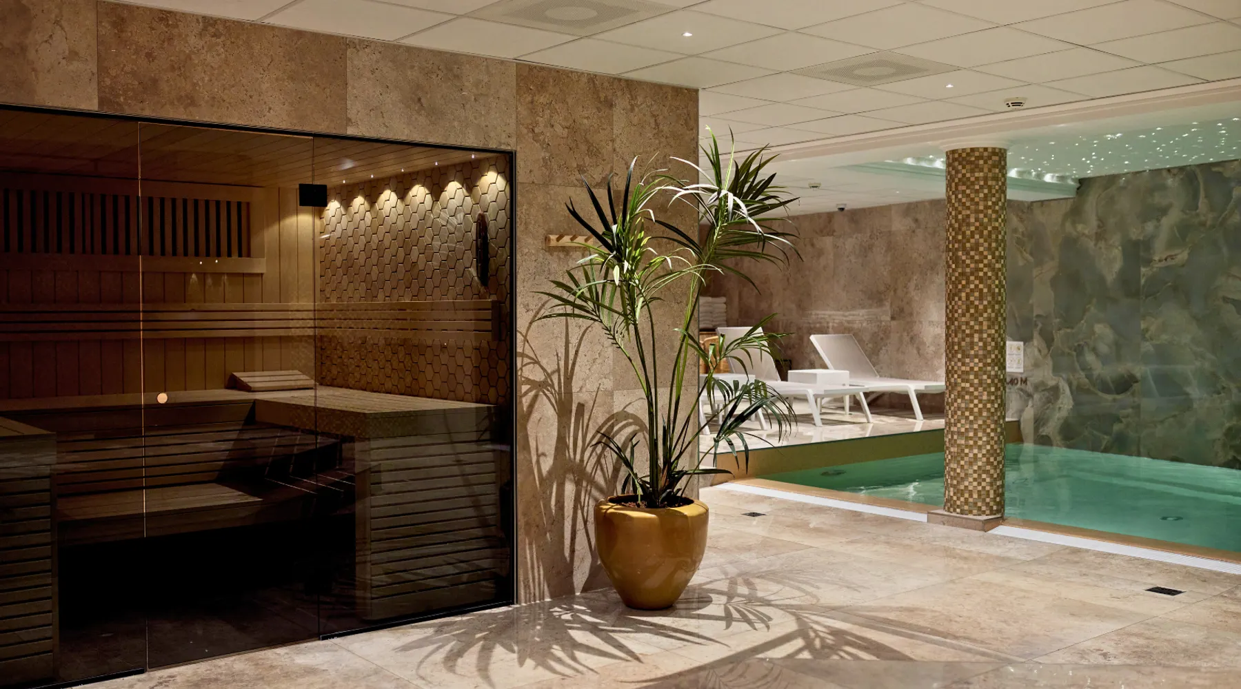 Wellness