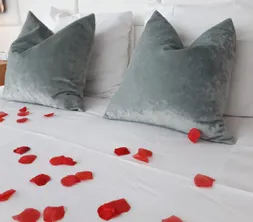 Rose petals