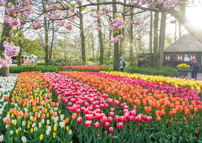 Noordwijk