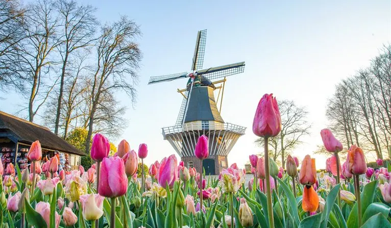 Keukenhof