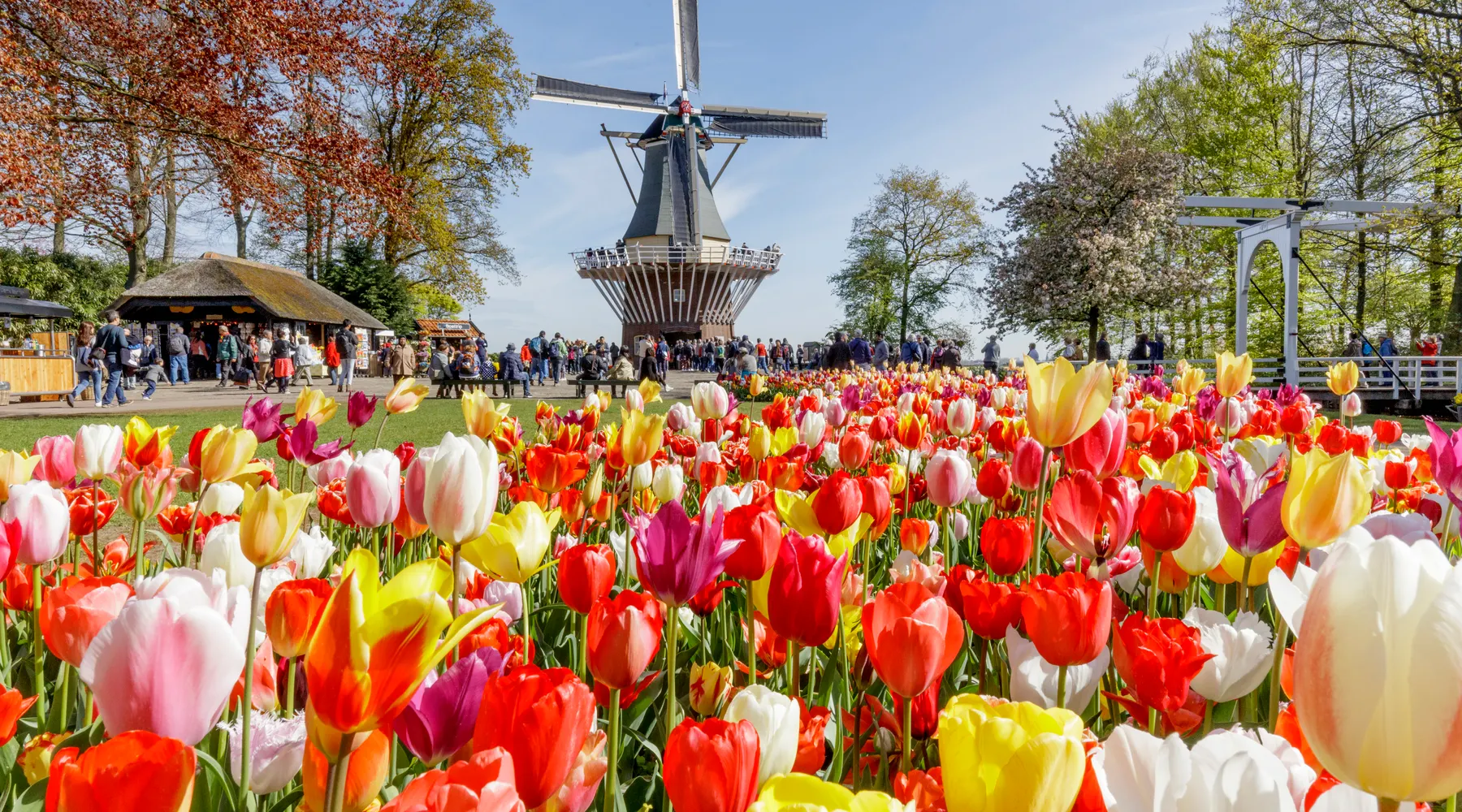 Keukenhof